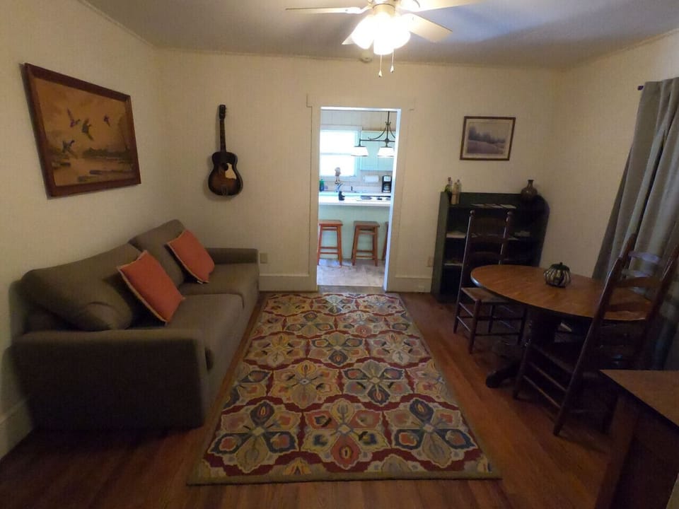 Living Room | Sofa Bed | Guitar Decor