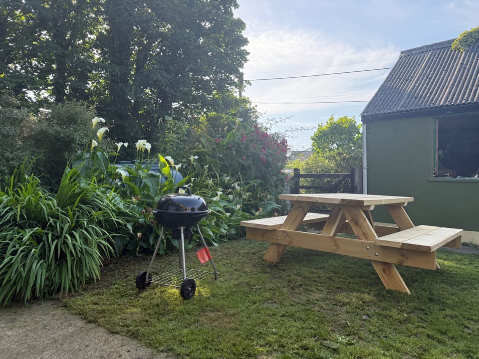 Image 16