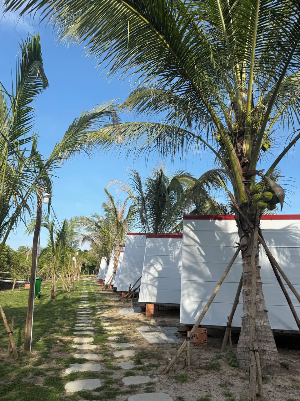 Comfort Bungalow | Property grounds