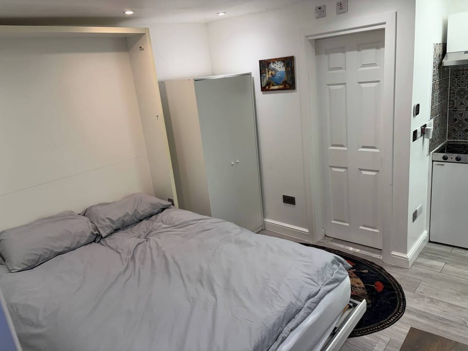 Studio, 1 Bedroom, Smoking, City View | 1 bedroom