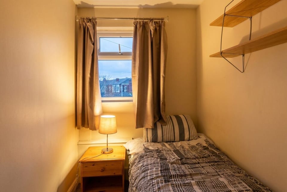 Second single room with leafy rooftop views and soft evening light.