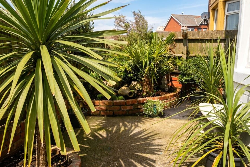 Sun-drenched courtyard framed by palms, perfect for a quiet coffee.