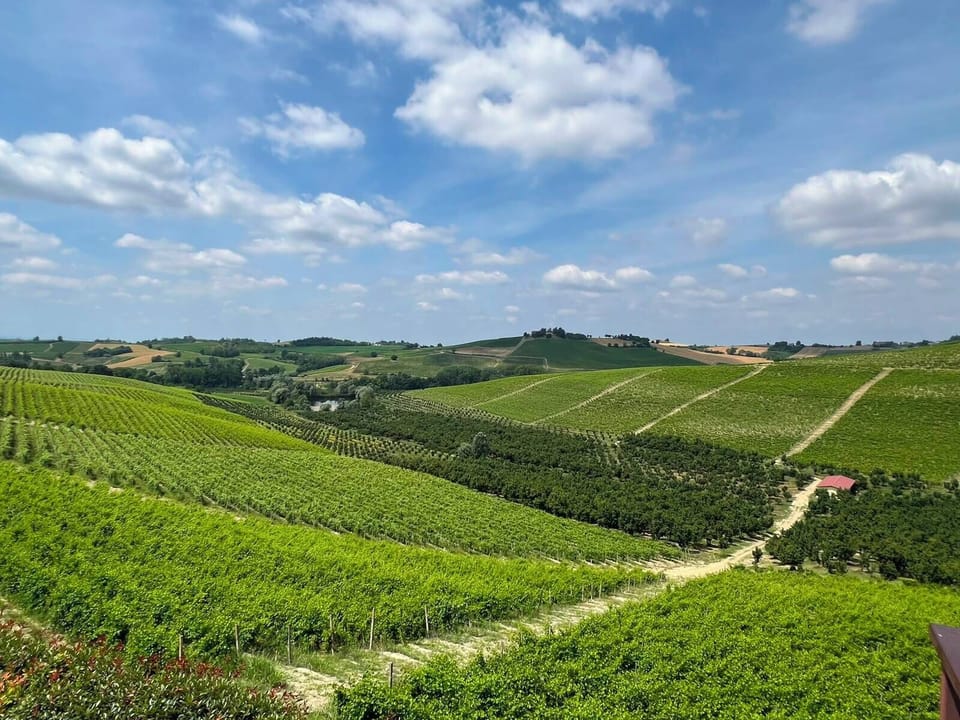 Winery