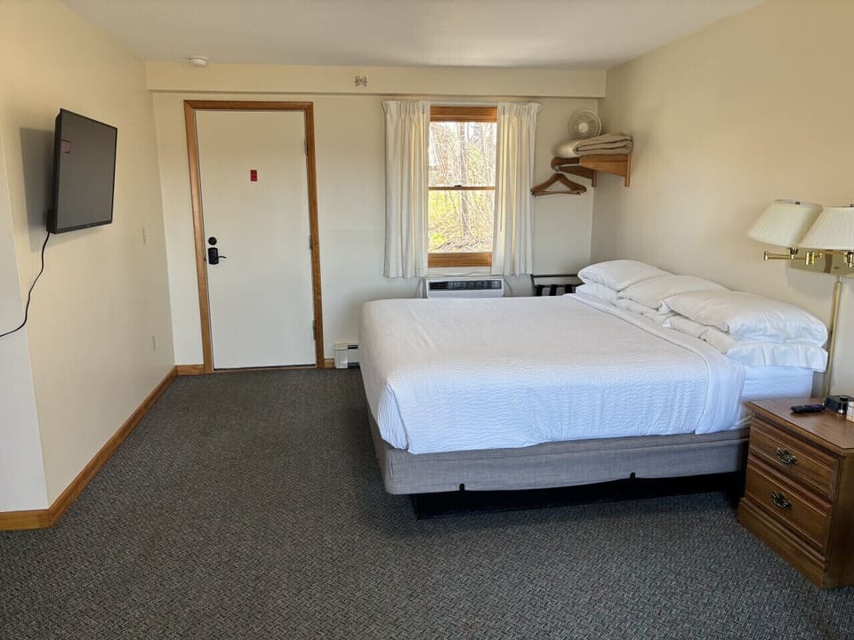 Spacious cozy bedroom with king bed, natural light, and relaxing modern comfort.