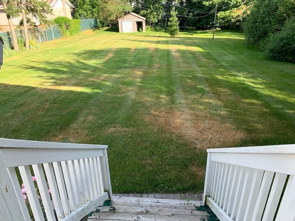 The enormous backyard, perfect for the kids to play 