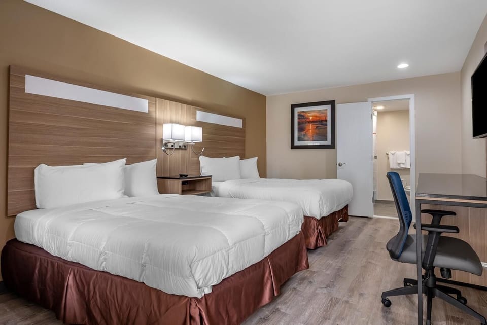 Basic Room | In-room safe, free WiFi