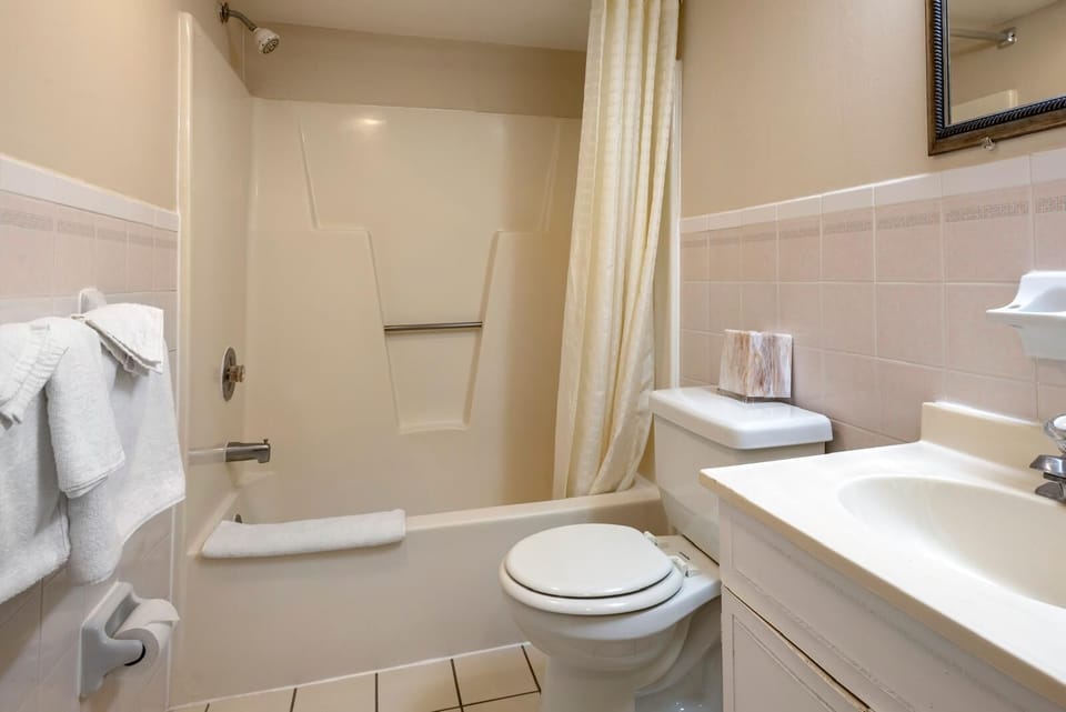 Basic Suite | Bathroom | Bathtub, towels, soap, shampoo