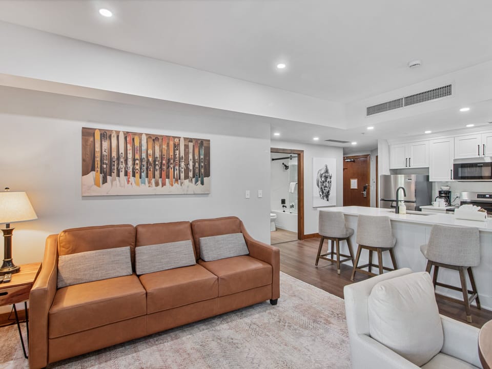 Living Area / Sleep Sofa