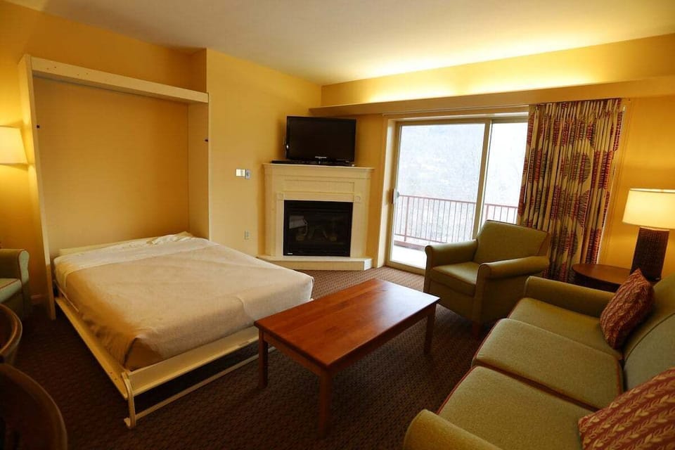 Living Room with Murphy Bed