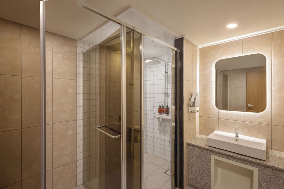 Party Room 4pax | Bathroom | Free toiletries, hair dryer, bathrobes, slippers
