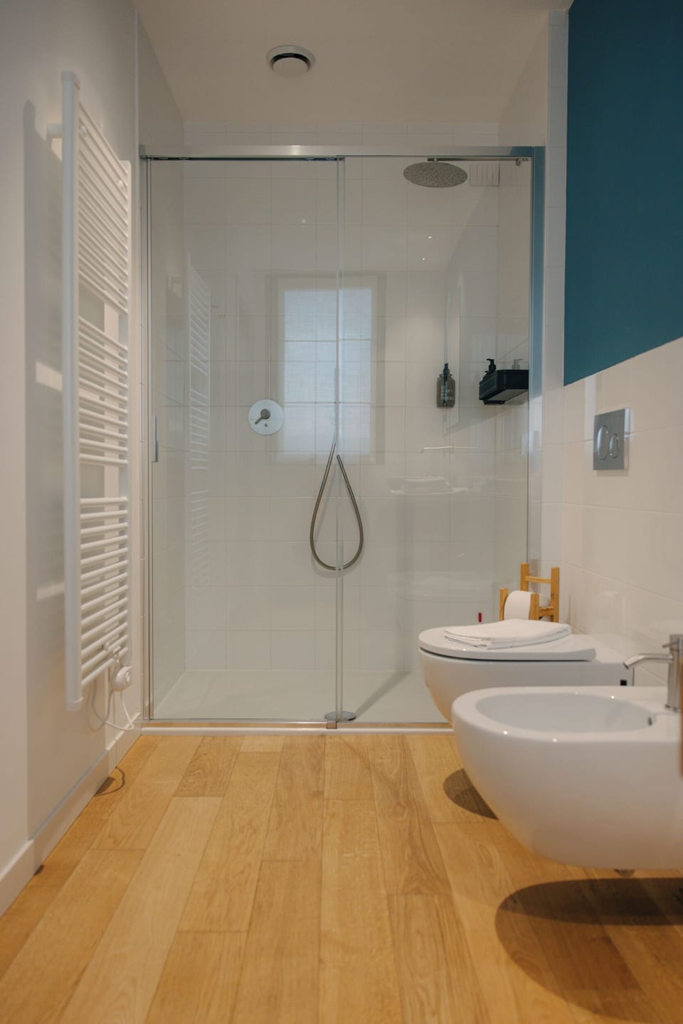Hair dryer, bidet, towels, soap