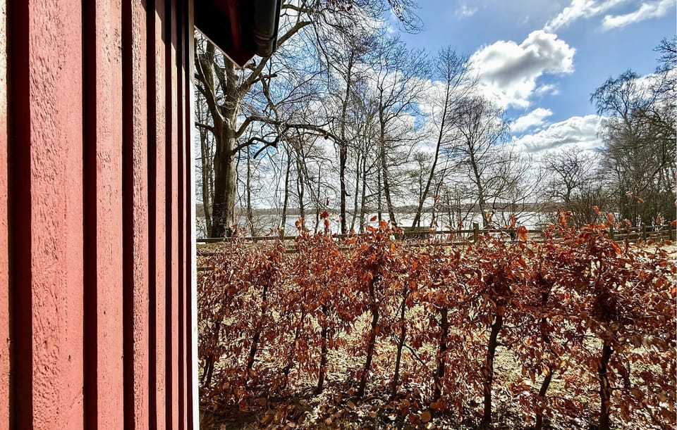 view-from-room