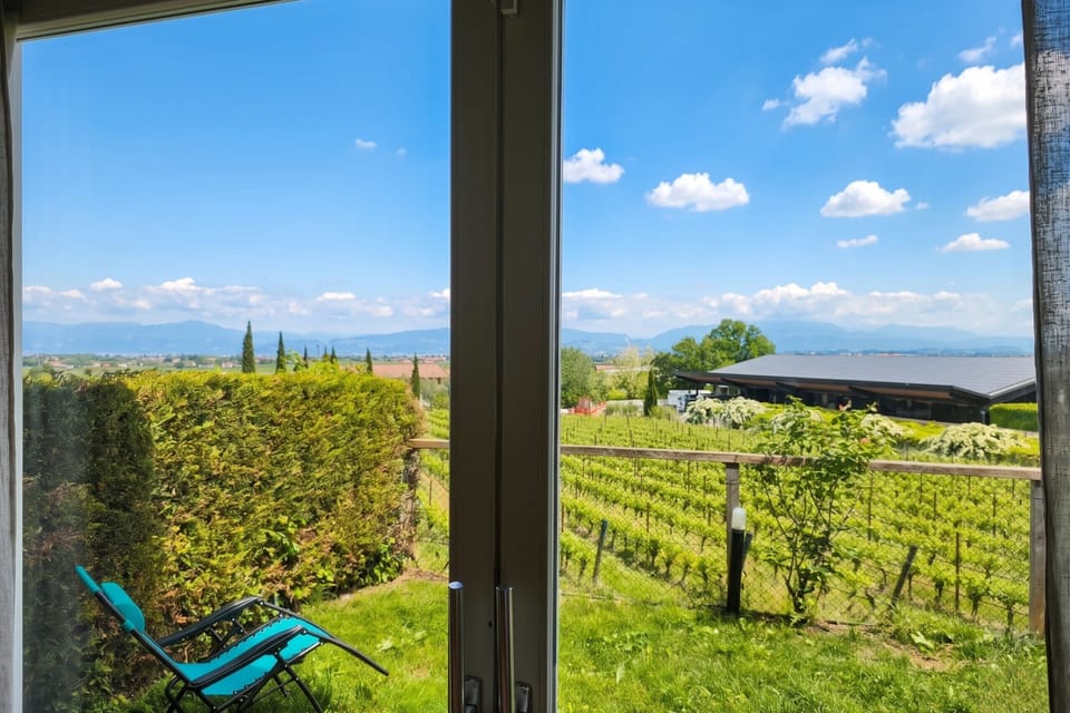 Apartment in Lugana for 6 people with views of vineyards, a garden, and a pool, just a few minutes from Lake Garda