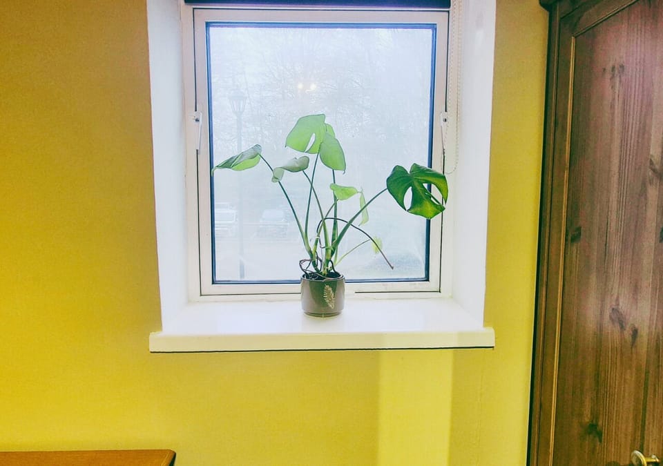 Comfort Apartment, Private Bathroom (The Hanover) | Iron/ironing board, free WiFi