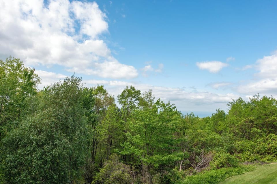 The property sits surrounded by lush green forest and rolling hills under bright summer skies, offering a peaceful natural setting for your getaway.