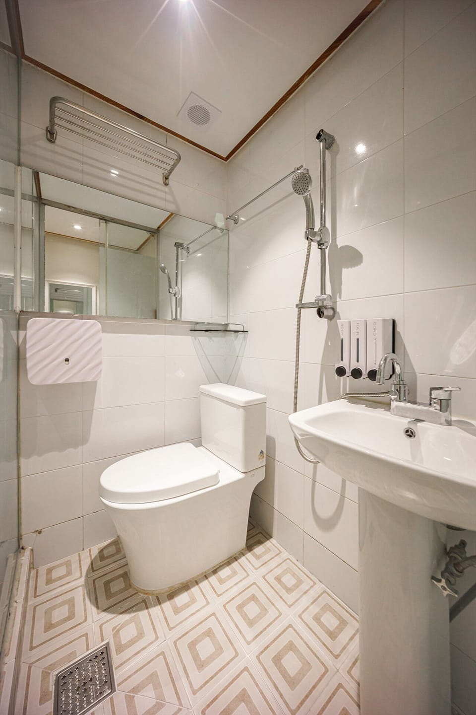 Hair dryer, towels, shampoo, toilet paper