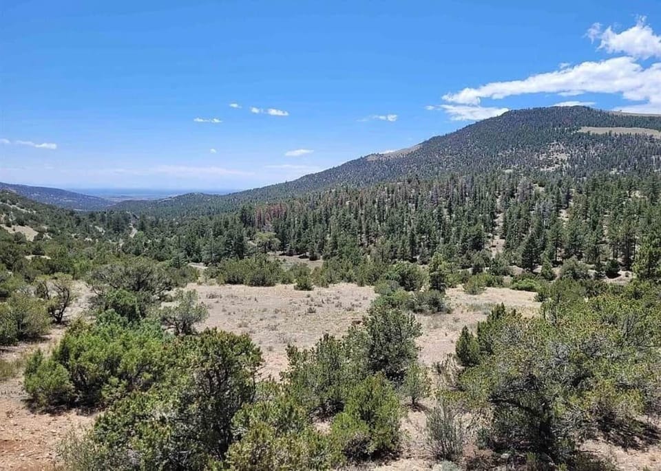 Expensive views  the property surrounded by thousands of acres of National Forest