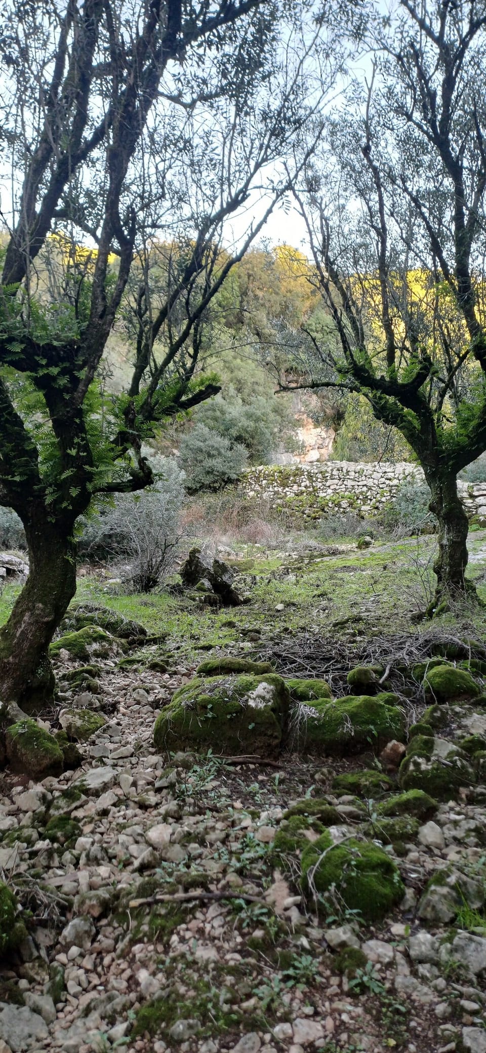 Quinta da Pêra rocha Bed and Breakfast in Santarém District, Portugal