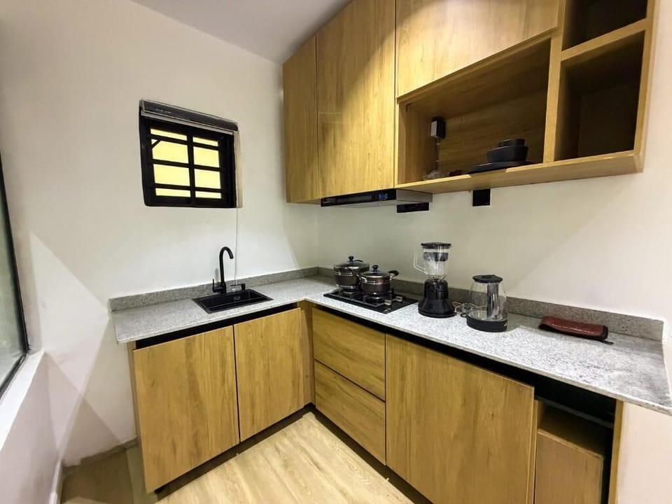 Economy Apartment, Balcony, City View | Private kitchen | Fridge, microwave, oven, stovetop