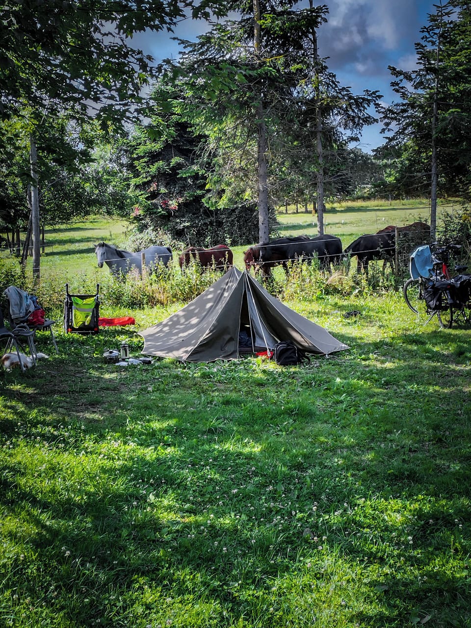 View from property