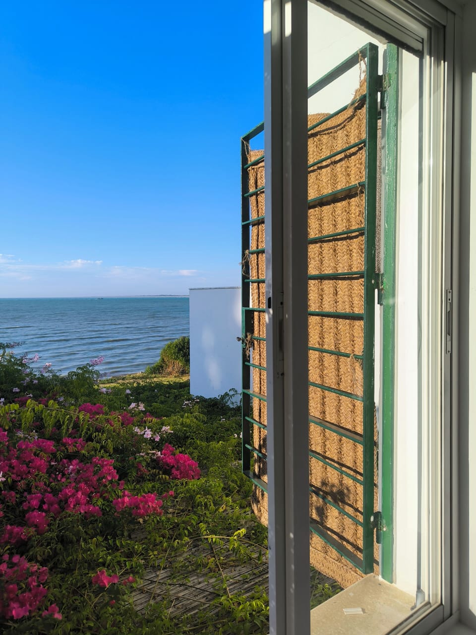 Beach/ocean view