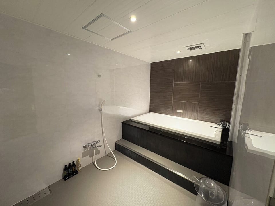 Standard Double Room | Bathroom | Combined shower/tub, free toiletries, hair dryer, towels
