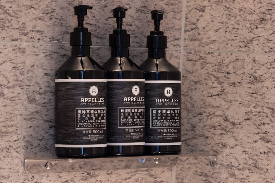 Business Twin Room | Bathroom amenities | Hair dryer, slippers, towels, shampoo