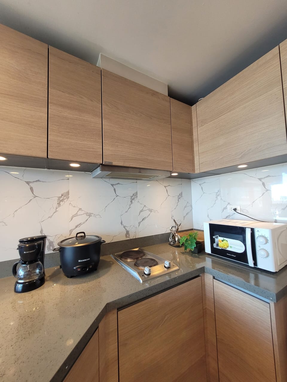 Rice cooker, coffee grinder, toaster oven, cleaning supplies
