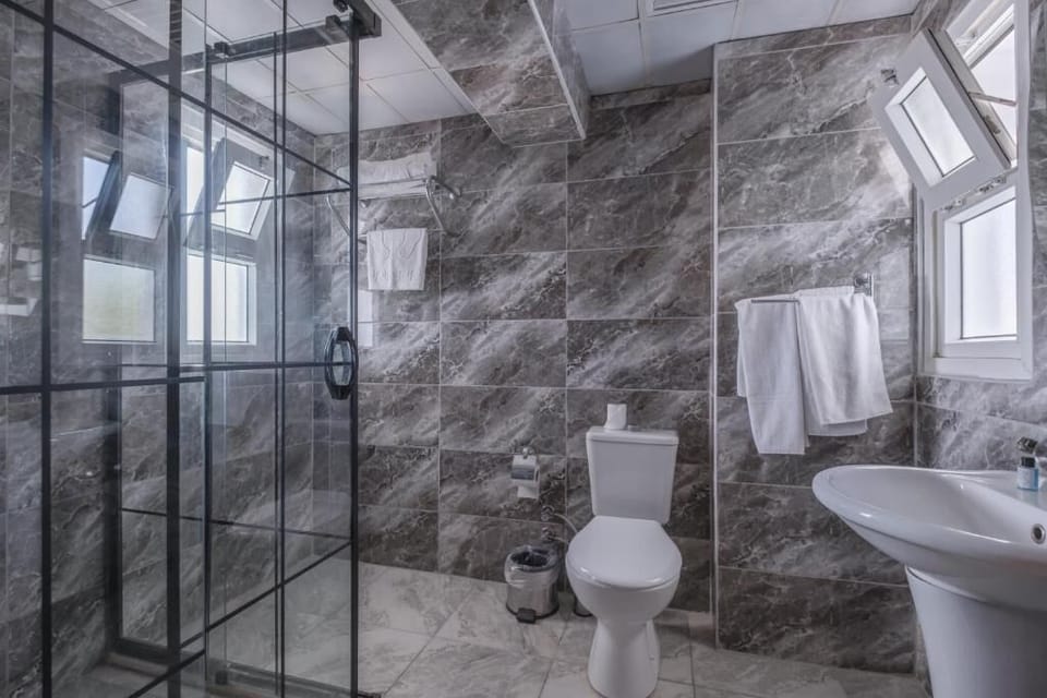 Shower, free toiletries, hair dryer, toilet paper