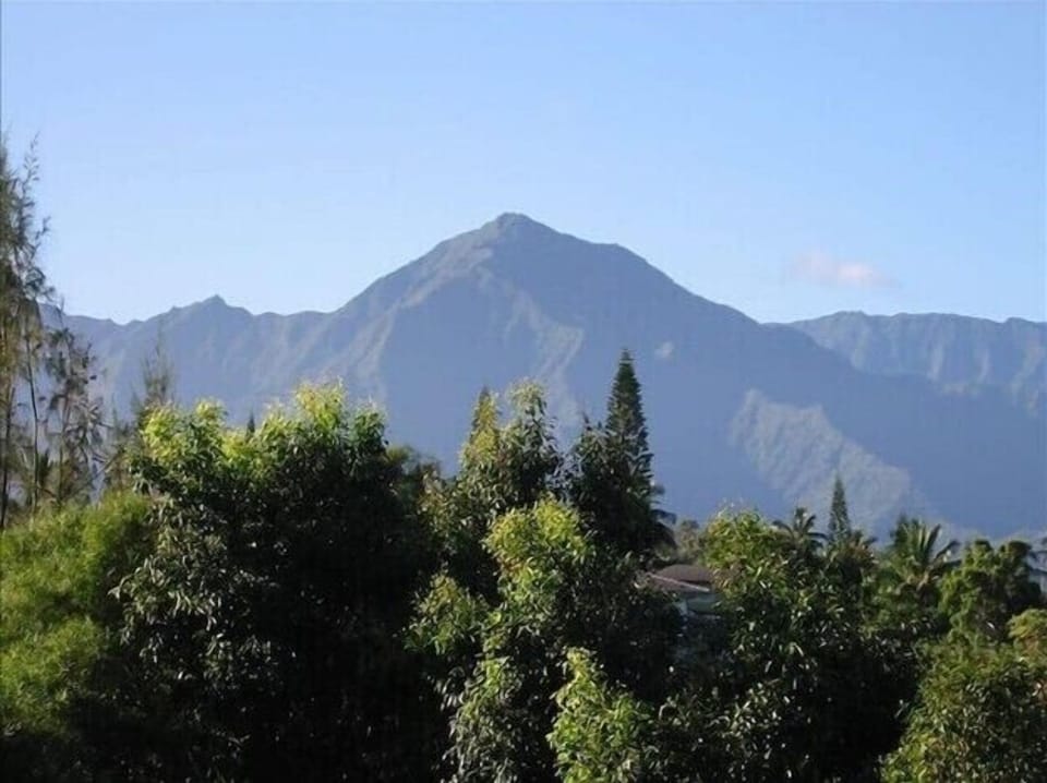 Mamalahoa view