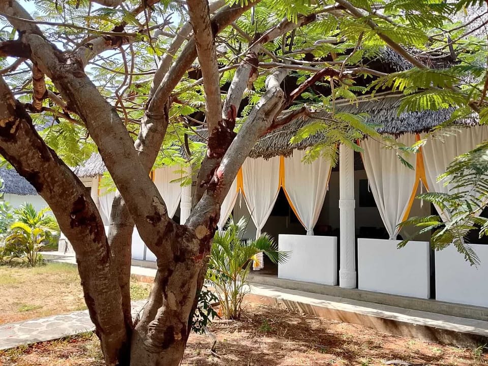 Villa | Property grounds