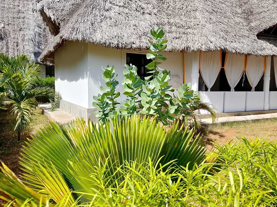 Villa | Property grounds