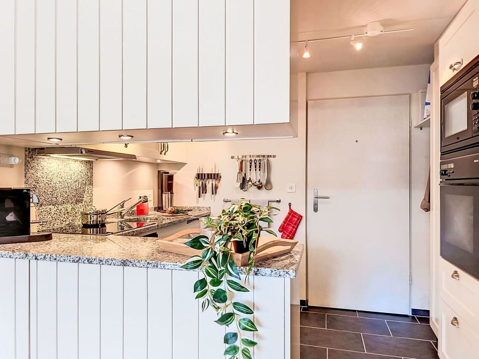 Kitchen Appliance, Kitchen, Countertop, Interior Design, Major Appliance, Flooring, Wood, Ceiling, Furniture, Cabinetry