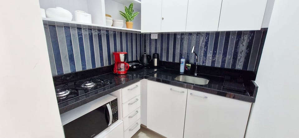 Basic Apartment | Private kitchen | Mini-fridge, microwave, stovetop, blender