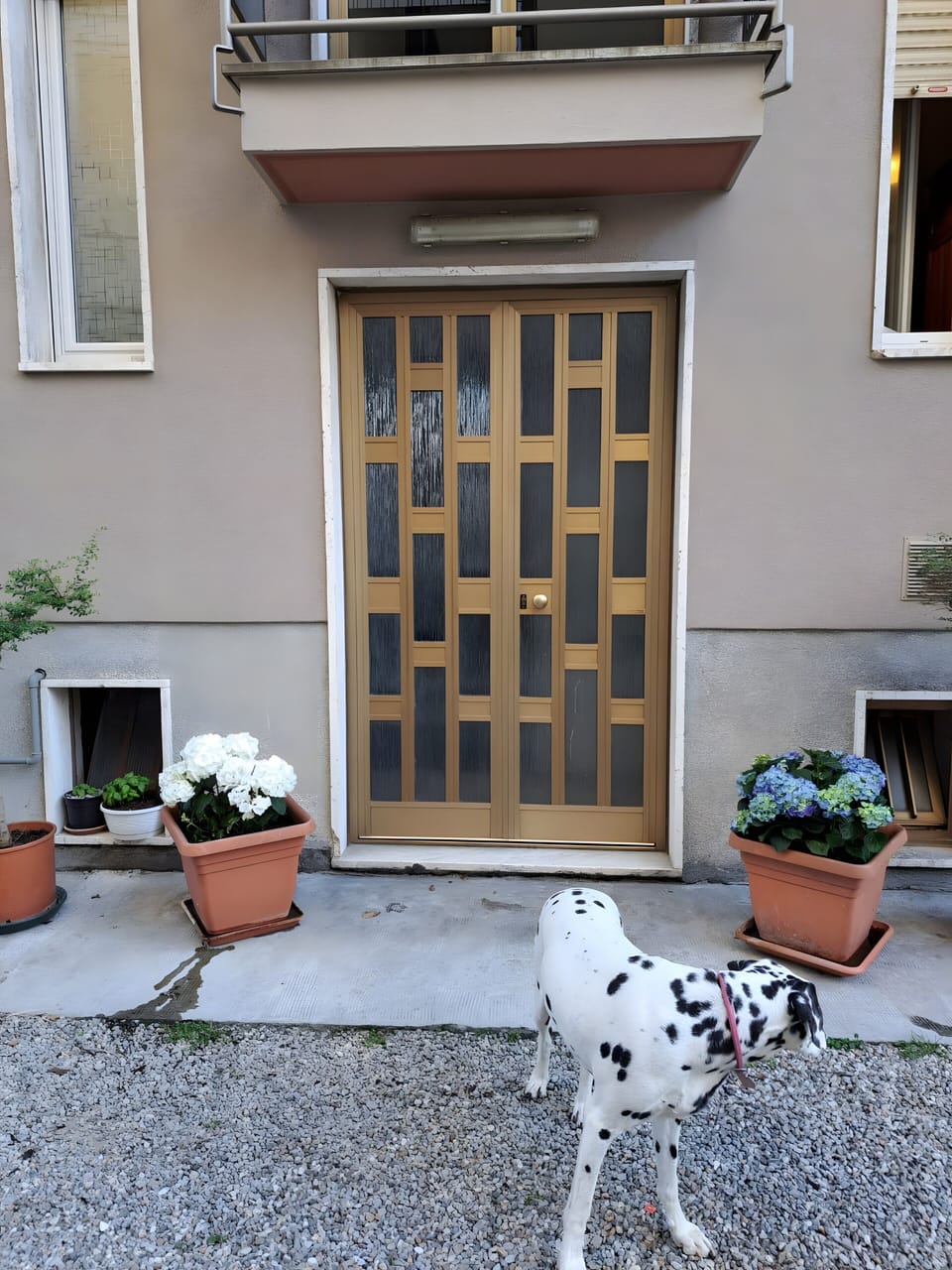 Exterior detail