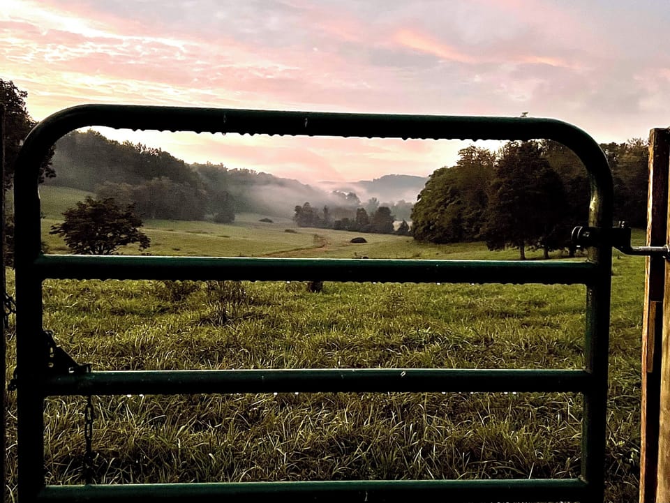 View from property