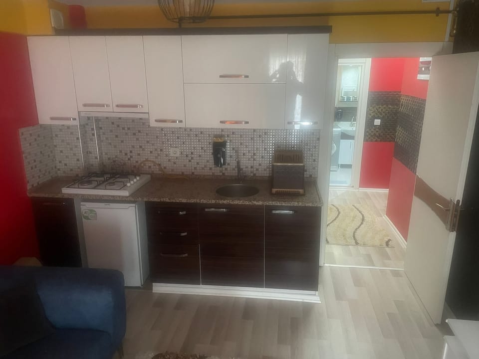 Deluxe Apartment, Balcony | Private kitchen | Mini-fridge, stovetop, cookware/dishes/utensils, cleaning supplies
