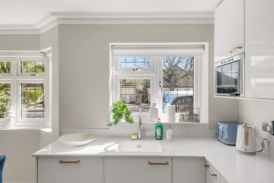 Bright kitchen window with plants, sink, and clean modern counters