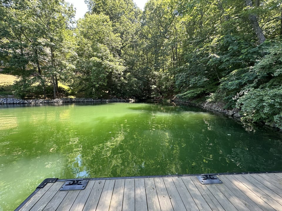 House, Multiple Beds (1 Special Place) | Water view
