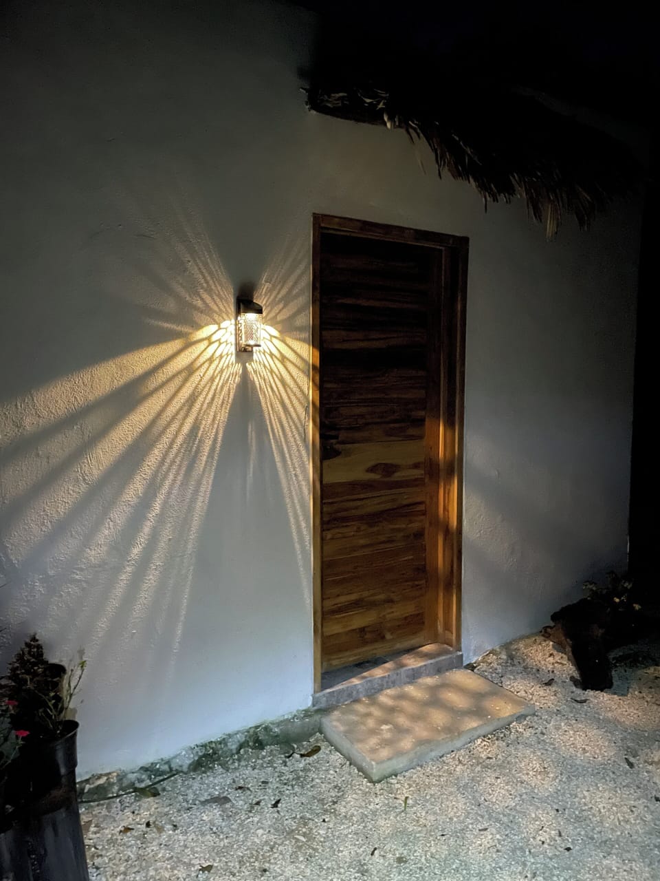 Single Room, Balcony | Exterior detail