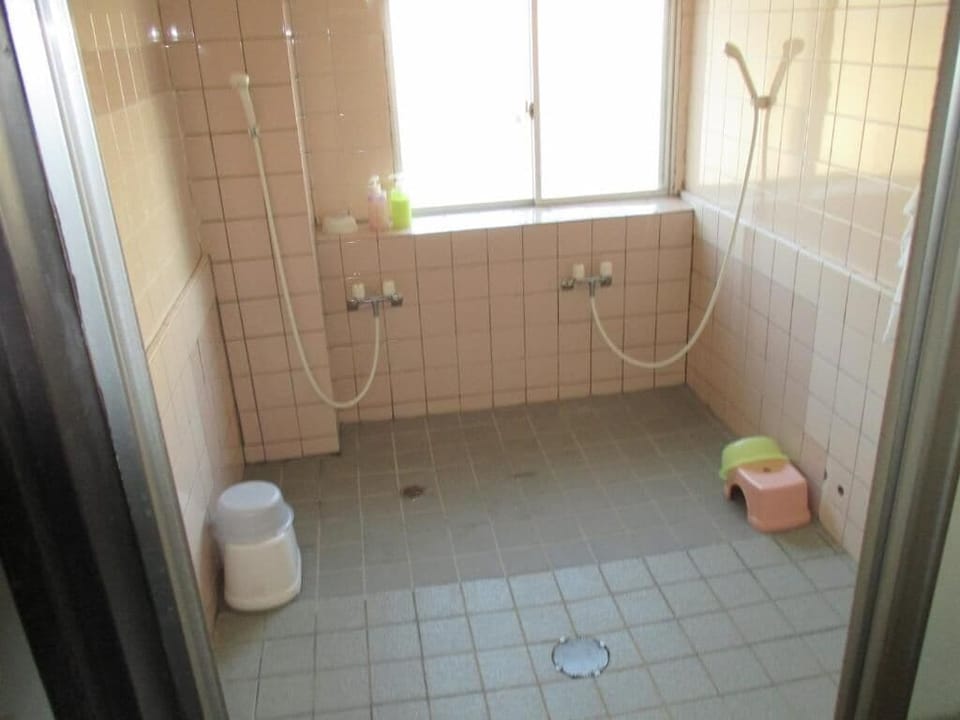 Shower, hair dryer, soap, shampoo