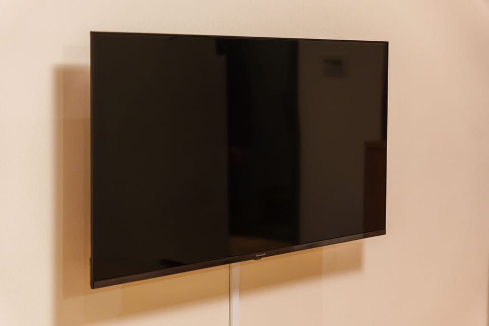 Television