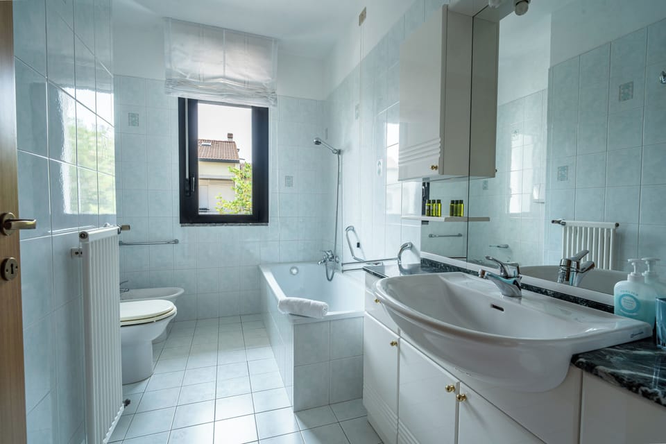 Hair dryer, towels, soap, shampoo