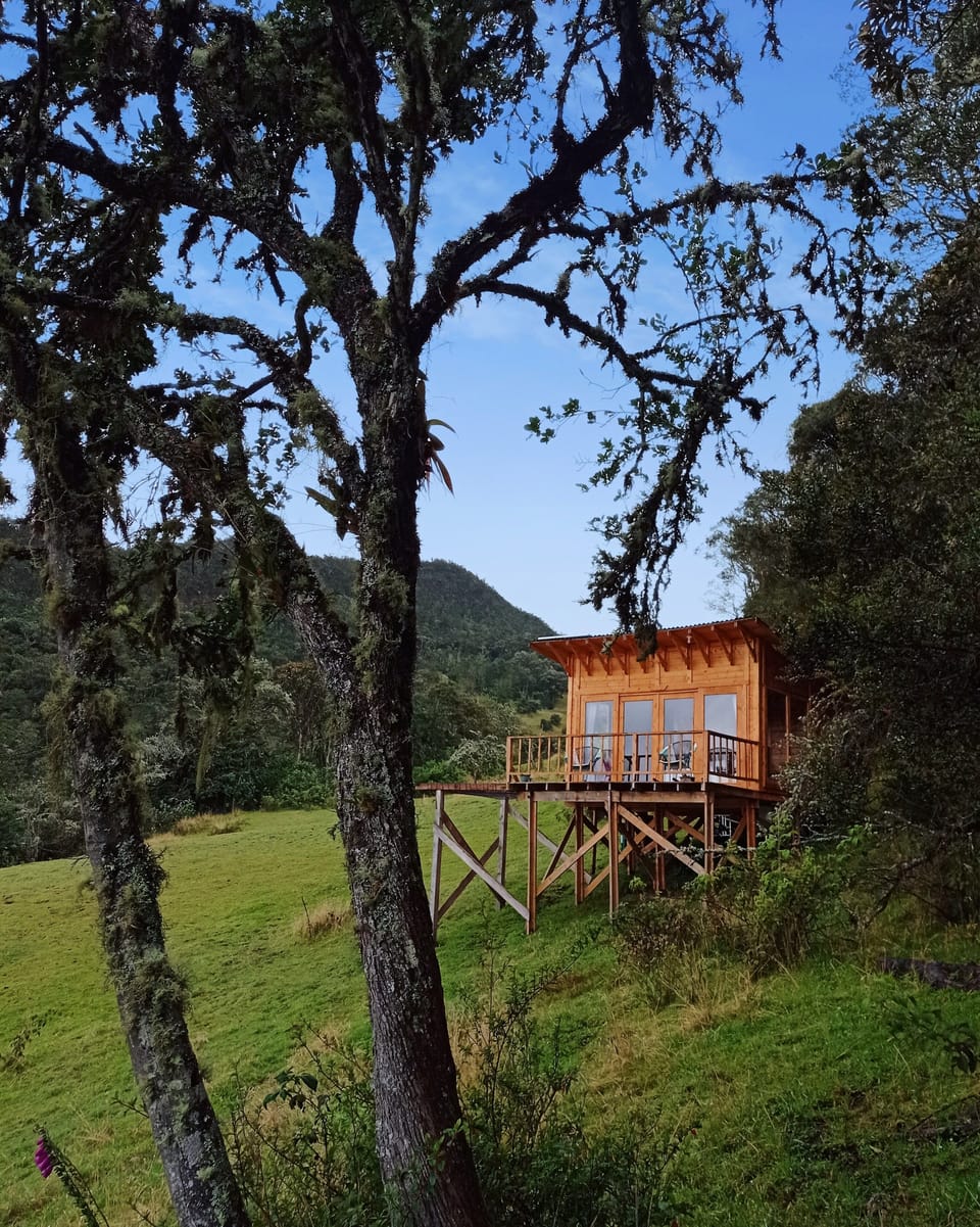 Comfort Cabin, Hill View | Exterior