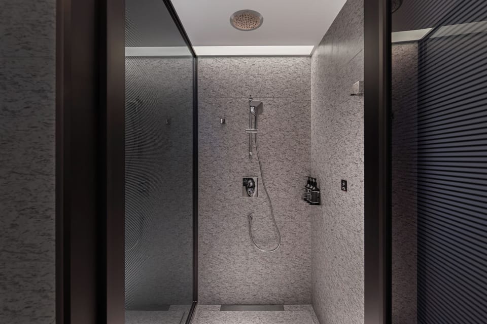 Shower, rainfall showerhead, designer toiletries, hair dryer