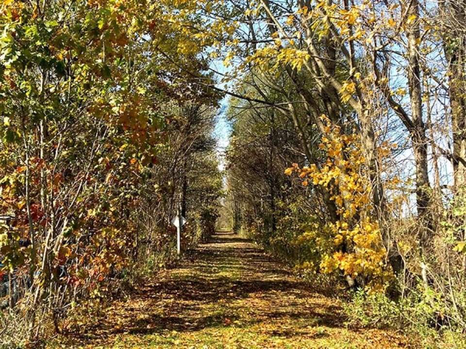 EXTERIOR:  The Van Buren Trail, which runs right through the property.