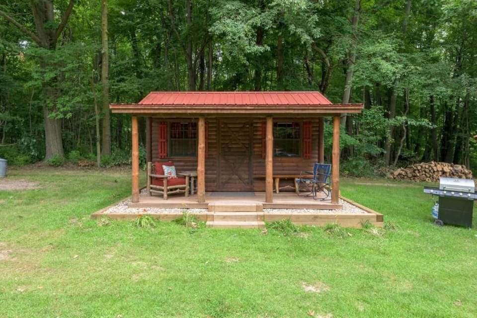 CABIN #1:  Cute little woodsy log cabin with a queen-size bed.  Mini-split unit included for heat and A/C.