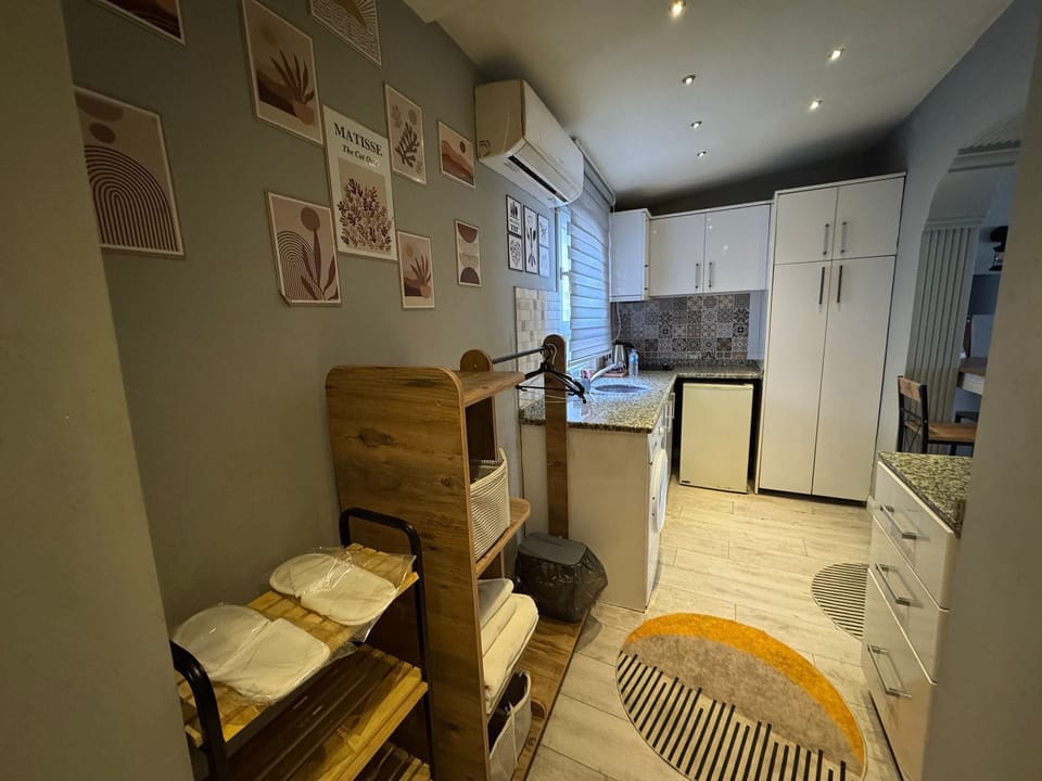 Deluxe Apartment | Private kitchen | Full-size fridge