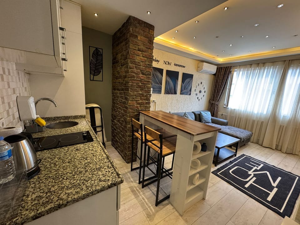 Deluxe Apartment | Private kitchen | Full-size fridge