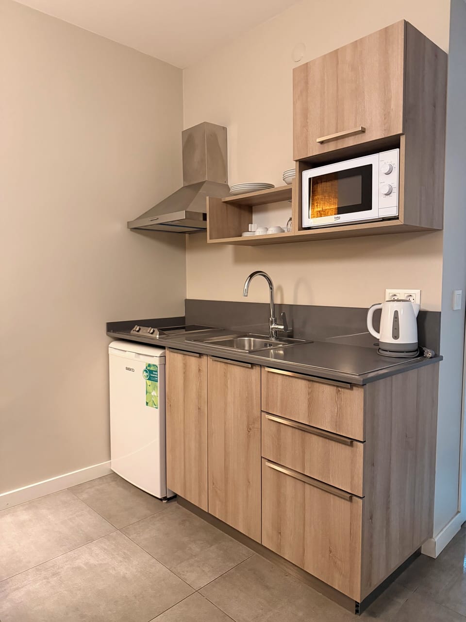 Classic Apartment, Balcony | Private kitchen | Mini-fridge, microwave, stovetop, electric kettle